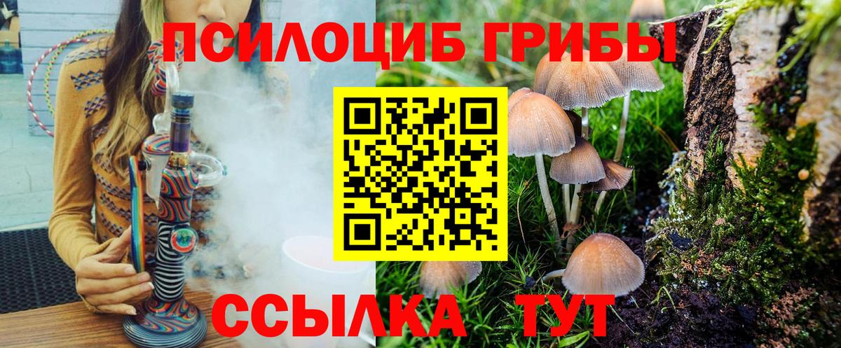 Псилоцибиновые грибы мицелий Карпинск
