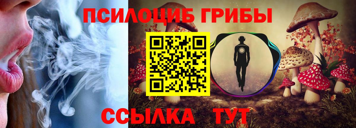 Галлюциногенные грибы MAGIC MUSHROOMS  Вход с VPN  Карпинск 